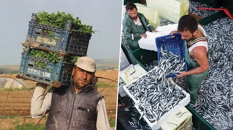 Çiftçileri ve balıkçıları sevindiricek haber! TKDK duyurdu: 248 milyon avroluk hibe desteği…